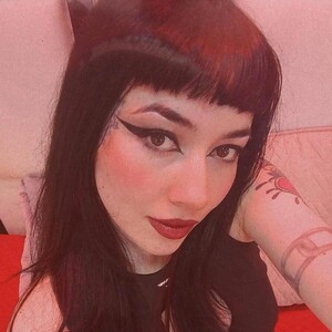 Profile preview